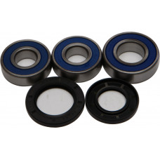 REAR WHEEL BEARING/SEAL KIT