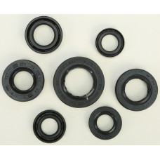 OIL SEAL SET
