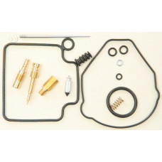 CARBURETOR REPAIR KIT