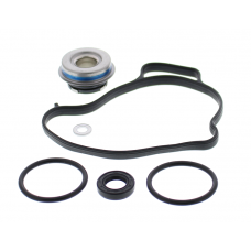 WATER PUMP REBUILD KIT