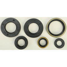 OIL SEAL SET