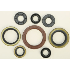 OIL SEAL SET