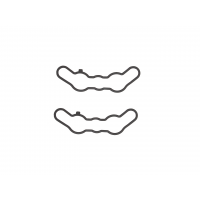 EXHAUST VALVE GASKET SET POL
