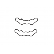 EXHAUST VALVE GASKET SET POL