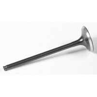 BLACK DIAMOND EXHAUST VALVE