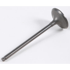 INTAKE VALVE