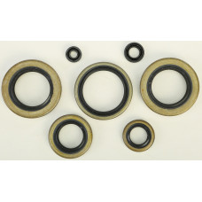 OIL SEAL SET
