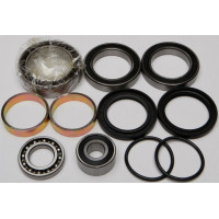 CHAIN CASE BEARING & SEAL KIT