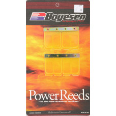MOTORCYCLE REEDS