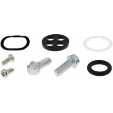 FUEL TAP REPAIR KIT