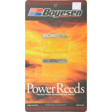 MOTORCYCLE REEDS