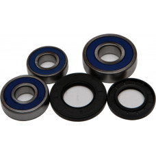 REAR WHEEL BEARING KIT