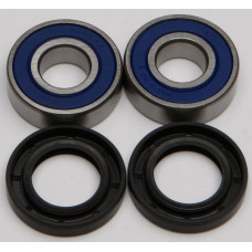 WHEEL BEARING & SEAL KIT