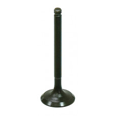 INTAKE VALVE
