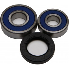 WHEEL BEARING & SEAL KIT