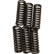 CLUTCH SPRINGS CSK92