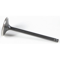 BLACK DIAMOND INTAKE VALVE
