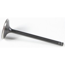 BLACK DIAMOND INTAKE VALVE
