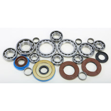 DIFFERENTIAL BEARING AND SEAL KIT