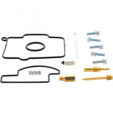 CARBURETOR REBUILD KIT