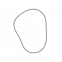 CHAINCASE GASKET S-D