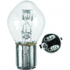 BOX BULBS 45/45W 10/BOX