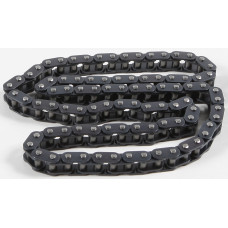 CAM CHAIN