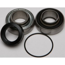 CHAIN CASE BEARING & SEAL KIT