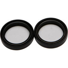 FORK SEAL KIT