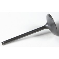 BLACK DIAMOND INTAKE VALVE BLACK DIAMOND INTAKE VALVE