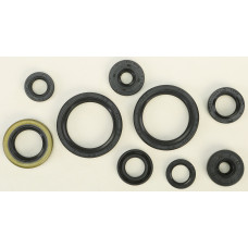 OIL SEAL SET