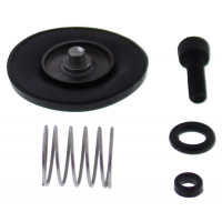 ACCEL. PUMP REBUILD KIT