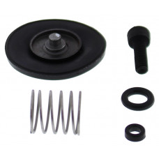 ACCEL. PUMP REBUILD KIT