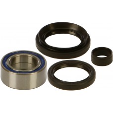 WHEEL BEARING & SEAL KIT