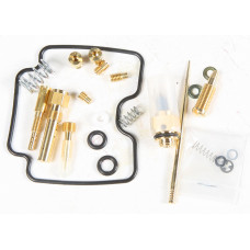 CARBURETOR REPAIR KIT