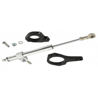 STEERING DAMPER KIT POLISHED 20-25 FXLRST