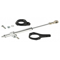 STEERING DAMPER KIT POLISHED 20-25 FXLRST