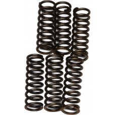 CLUTCH SPRINGS CSK37