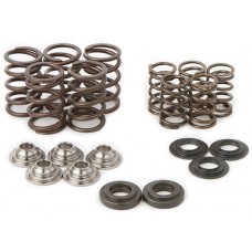 RAPTOR SPRING KIT/ TI RETAINERS RAPTOR SPRING KIT/ TI RETAINERS
