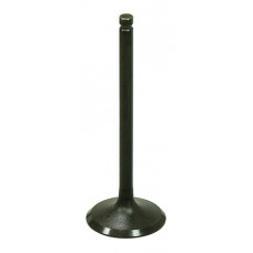 INTAKE VALVE