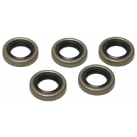 STARTER MOTOR SHAFT OIL SEAL EVO 5/PK OE#12053