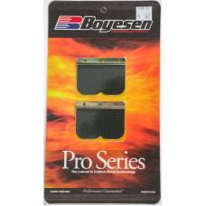 MOTORCYCLE PRO REEDS