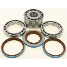 REAR DIFFERENTIAL BEARING AND SEAL KIT