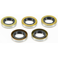 STARTER SHAFT SEAL TWIN CAM 5/PK OE#12066