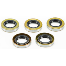 STARTER SHAFT SEAL TWIN CAM 5/PK OE#12066