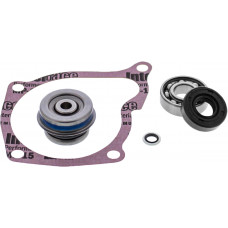 WATER PUMP KIT POL