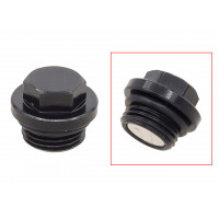 MAGNETIC DRAIN PLUG POL