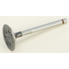 INTAKE VALVE