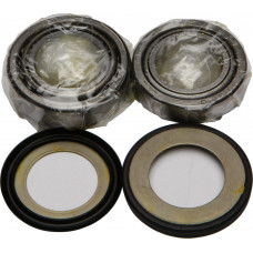 STEERING BEARING/SEAL KIT