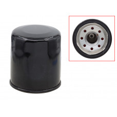OIL FILTER POL PROSTAR